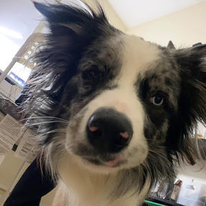 Meet your Posher, Linda